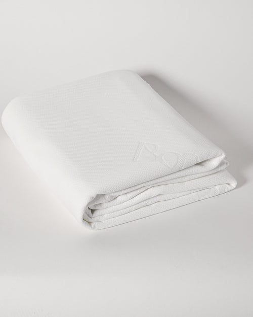 Paisley Briggs Mattress Protector