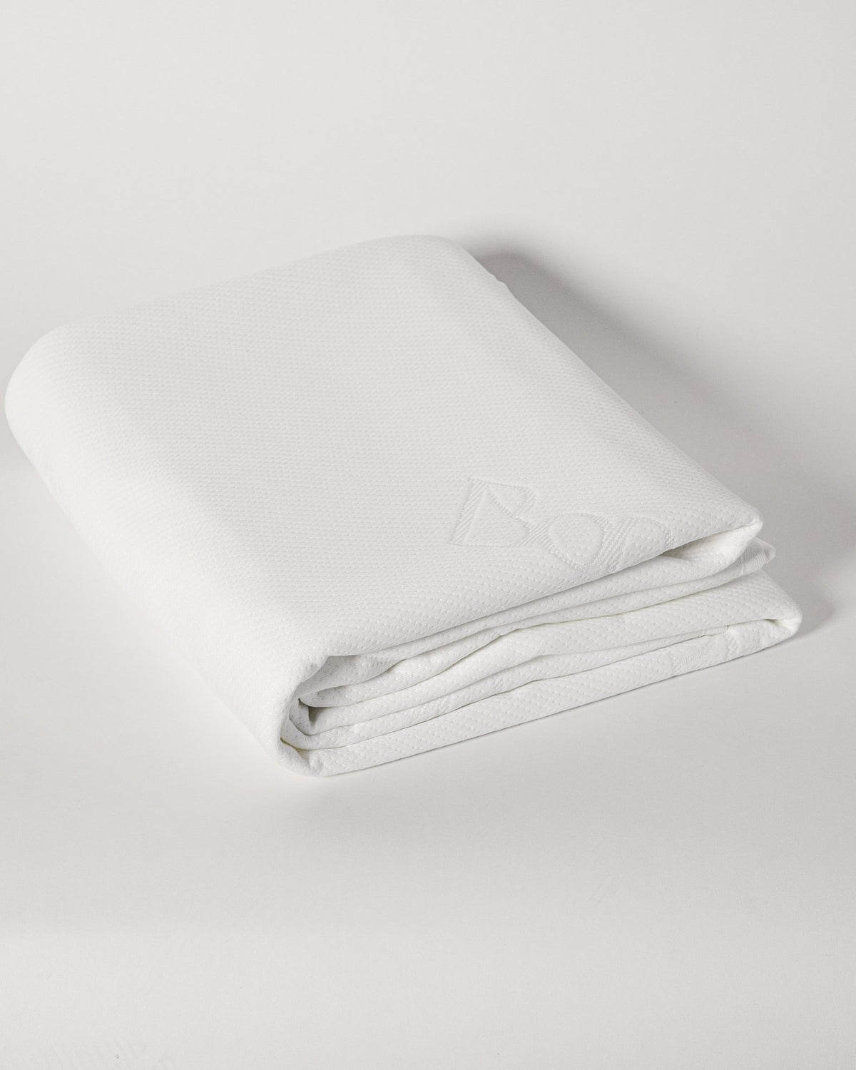 Paisley Briggs Mattress Protector