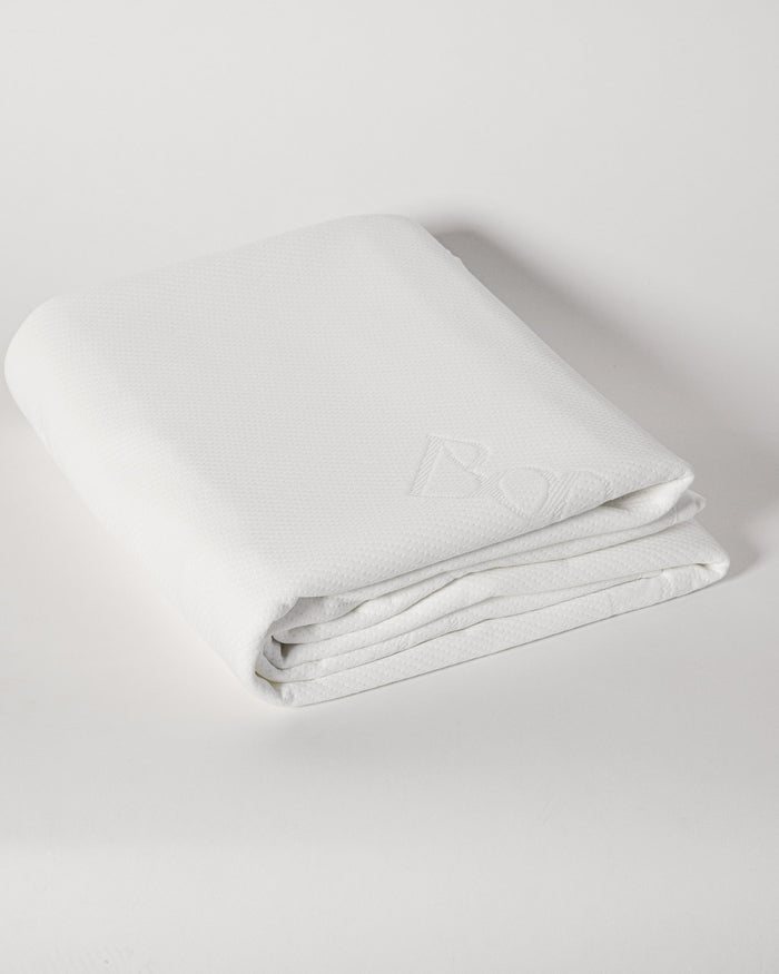 Paisley Briggs Mattress Protector