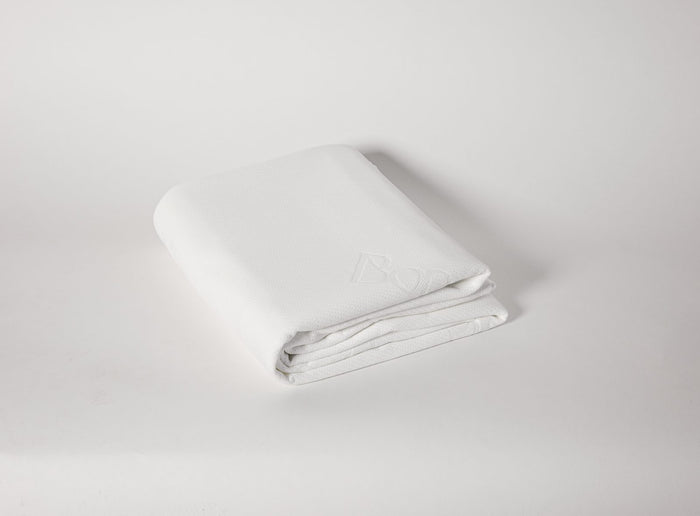 Paisley Briggs Mattress Protector